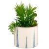 B&M Succulent In Blue Drip Pot -General Home Store 380106 succulent in blue drip pot