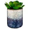 B&M Scandi Shore Succulent -General Home Store 380125 scandi succulent