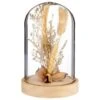 B&M Dried Flowers In Cloche - Natural -General Home Store 380163 dried flowers in cloche