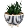 B&M Scandi Shore Stripe Succulent -General Home Store 380604 scandi shore stripe succulent 3