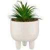 B&M Scandi Shore Succulent In White Pot -General Home Store 380696 succulent in white pot