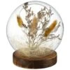 B&M Dried Pampas In Sphere -General Home Store 387526 dried pampas in sphere