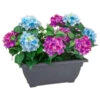 Bloom Basic Window Box - Hydrangea -General Home Store 392827 basic window box hydrangea