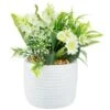 Bloom Mixed Flowers In Pot - White -General Home Store 392829 mixed flowers in pot cream