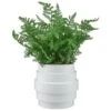 Bloom Premium Foliage In Cream Planter -General Home Store 392863 premium foliage in cream planter