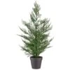 Bloom Conifer Tree In Plant Pot -General Home Store 392865 conifer tree in plant pot