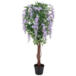 Bloom Wysteria Tree In Pot - Purple
