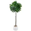 Bloom Premium Bay Tree -General Home Store 392873 premium bay tree
