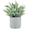 Bloom Eucalyptus In Cement Pot -General Home Store 392965 eucalyptus in cement pot