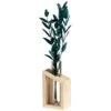 B&M Plant In Glass & Wooden Vase -General Home Store 394337 plant in glass and wooden vase