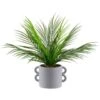 B&M Fern In Double Handle Pot -General Home Store 394340 fern in double handle pot