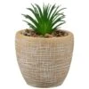 B&M Small Succulent Pot - Stone 1 B&M Small Succulent Pot - Stone -General Home Store 394663 small succulent stone