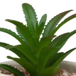 B&M Assorted Embossed Pots -General Home Store 394664 embossed pot 2