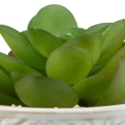 B&M Assorted Embossed Pots -General Home Store 394664 embossed pot 6