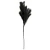 B&M Pampas Stem - Black -General Home Store 395541 pamas stem black